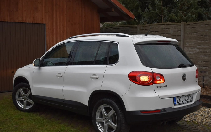 Volkswagen Tiguan cena 36990 przebieg: 171383, rok produkcji 2009 z Białogard małe 301